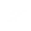 AHNO - Accueil